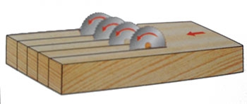 Wielopiła Winter Holztechnik Typ MULTIMAX 155 zdjęcie 11